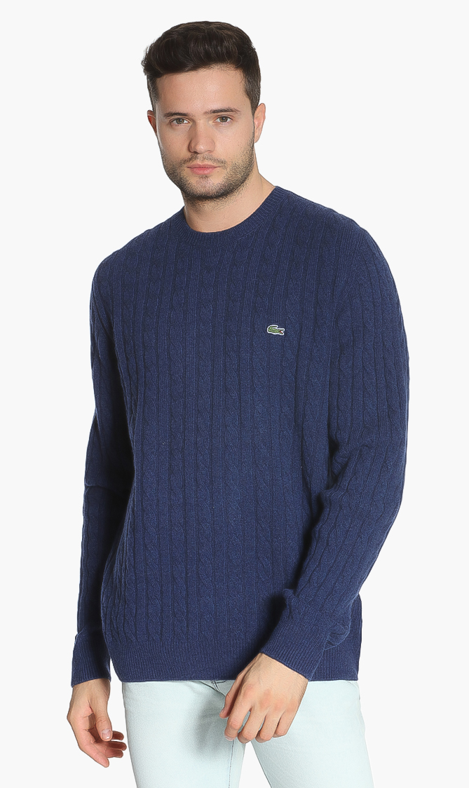 

Lacoste Crew Neck Cable Knit Effect Sweater