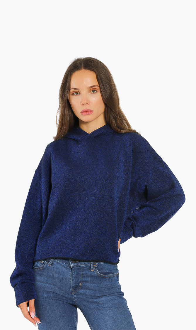 

Logo Lurex Hoody, Blue
