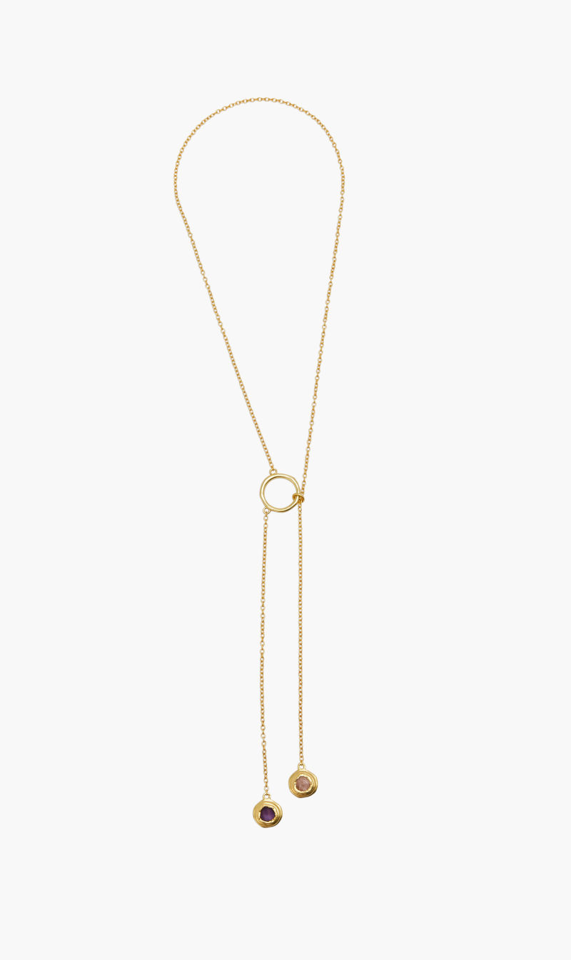 

Zariin Gold Two Stone Lariat Necklace With Amethyst And Rose Quartz for Women | The Deal Outlet