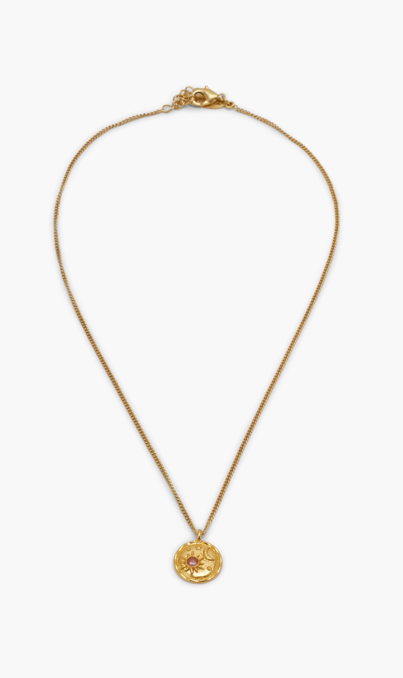 

January Birthstone Necklace With Garnet