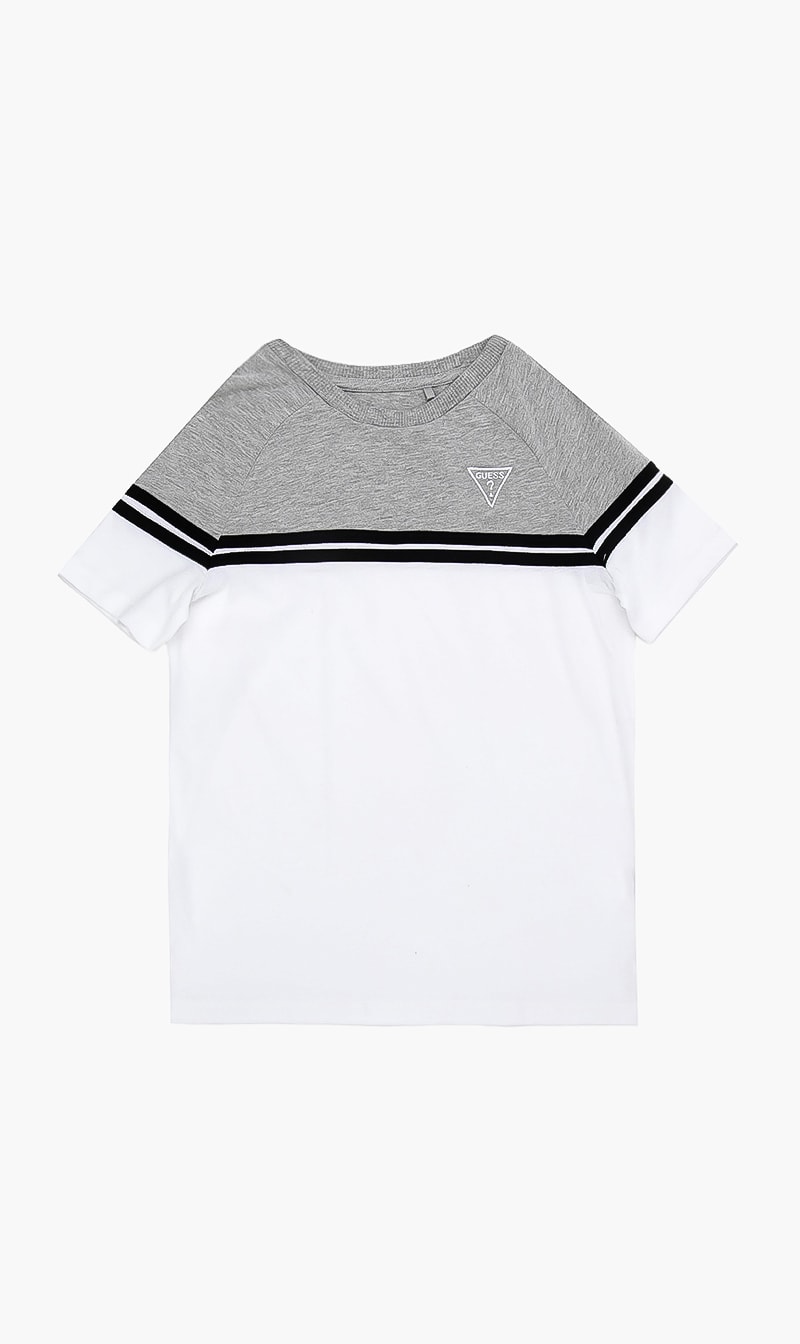 

Logo Short Sleeves Tshirt, Grey