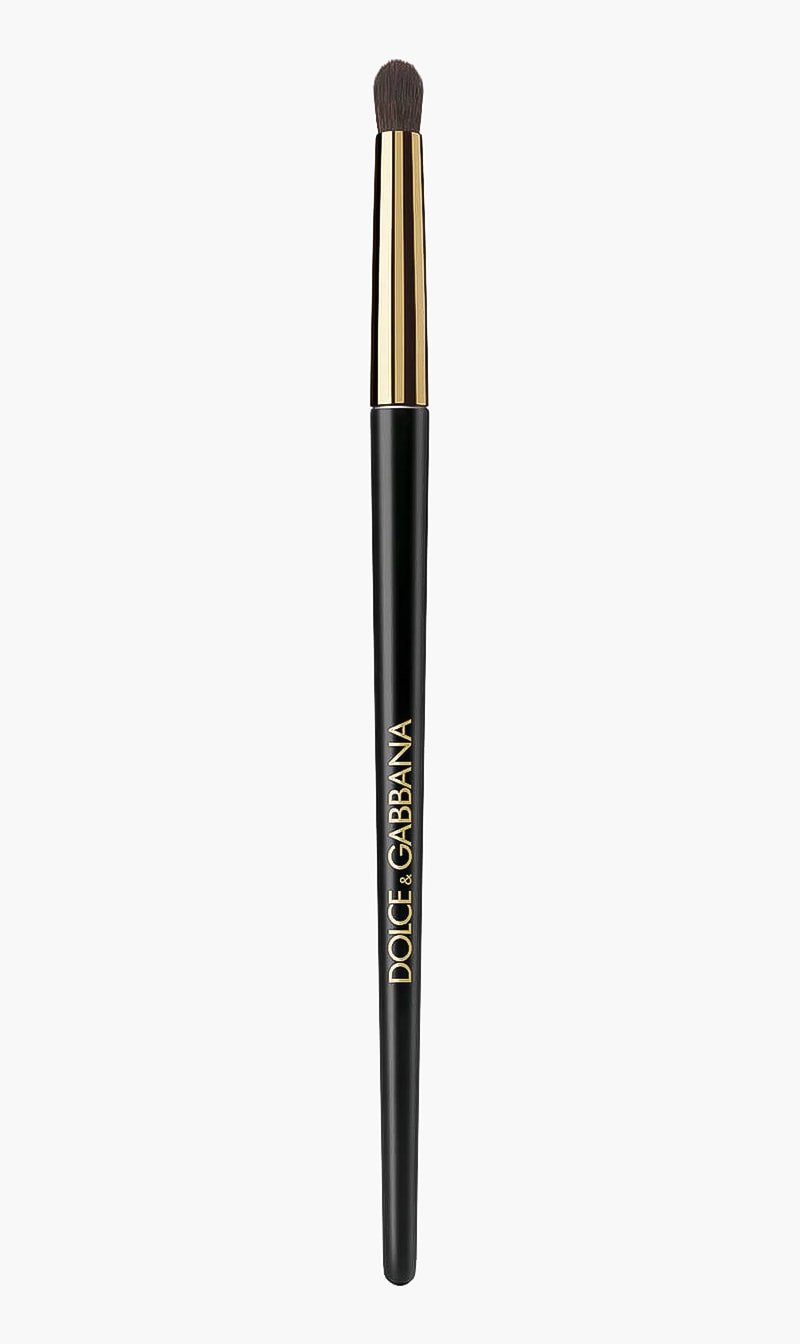 

Dgmu Oth Brush-e Definer