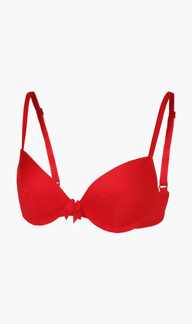

Chantelle Adorable Floral Lace Push-up Bra