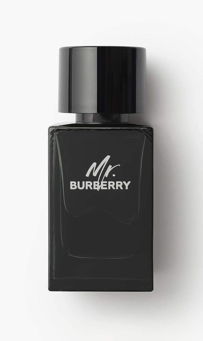 Burberry Mr. Burberry, Eau De Parfum, 100ml for Men
