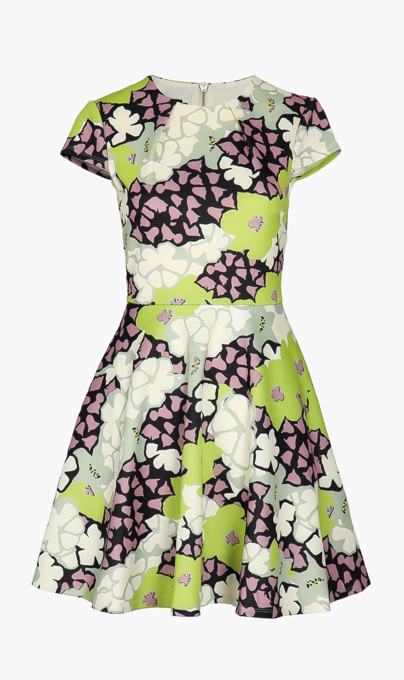 

Floral Mini Skater Dress