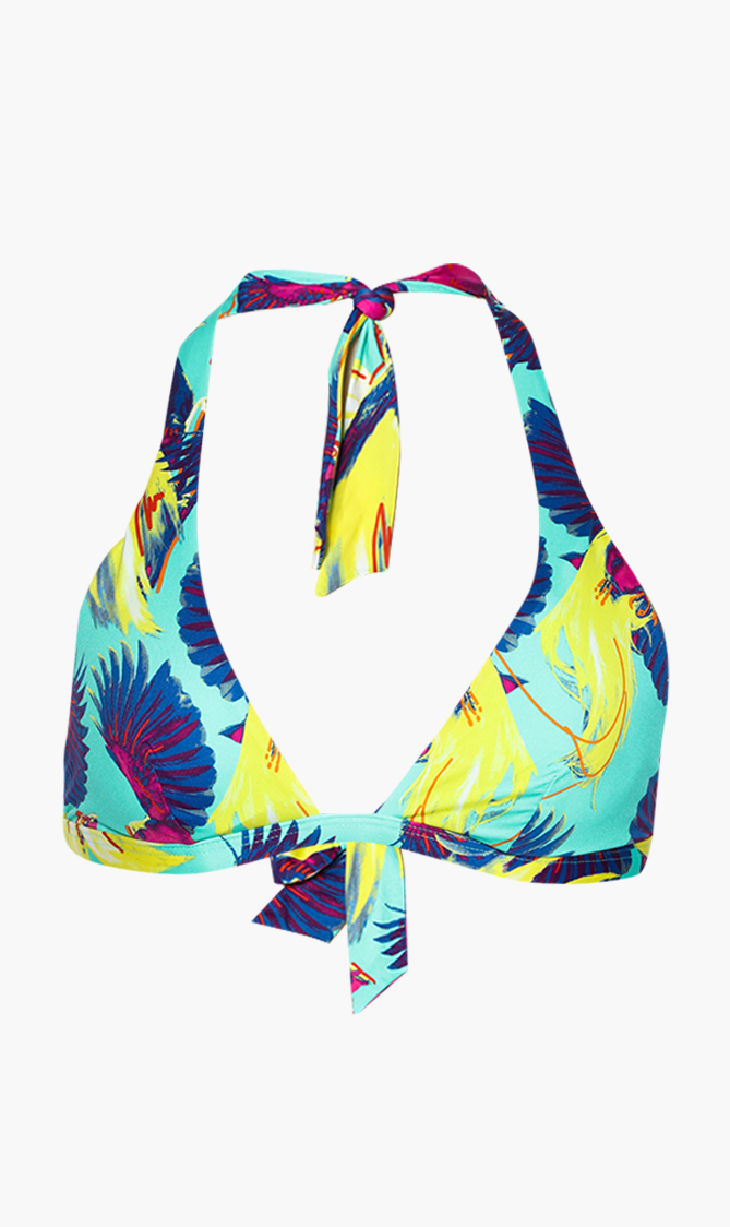 

Vilebrequin Fleche Printed Halter Bikini Top