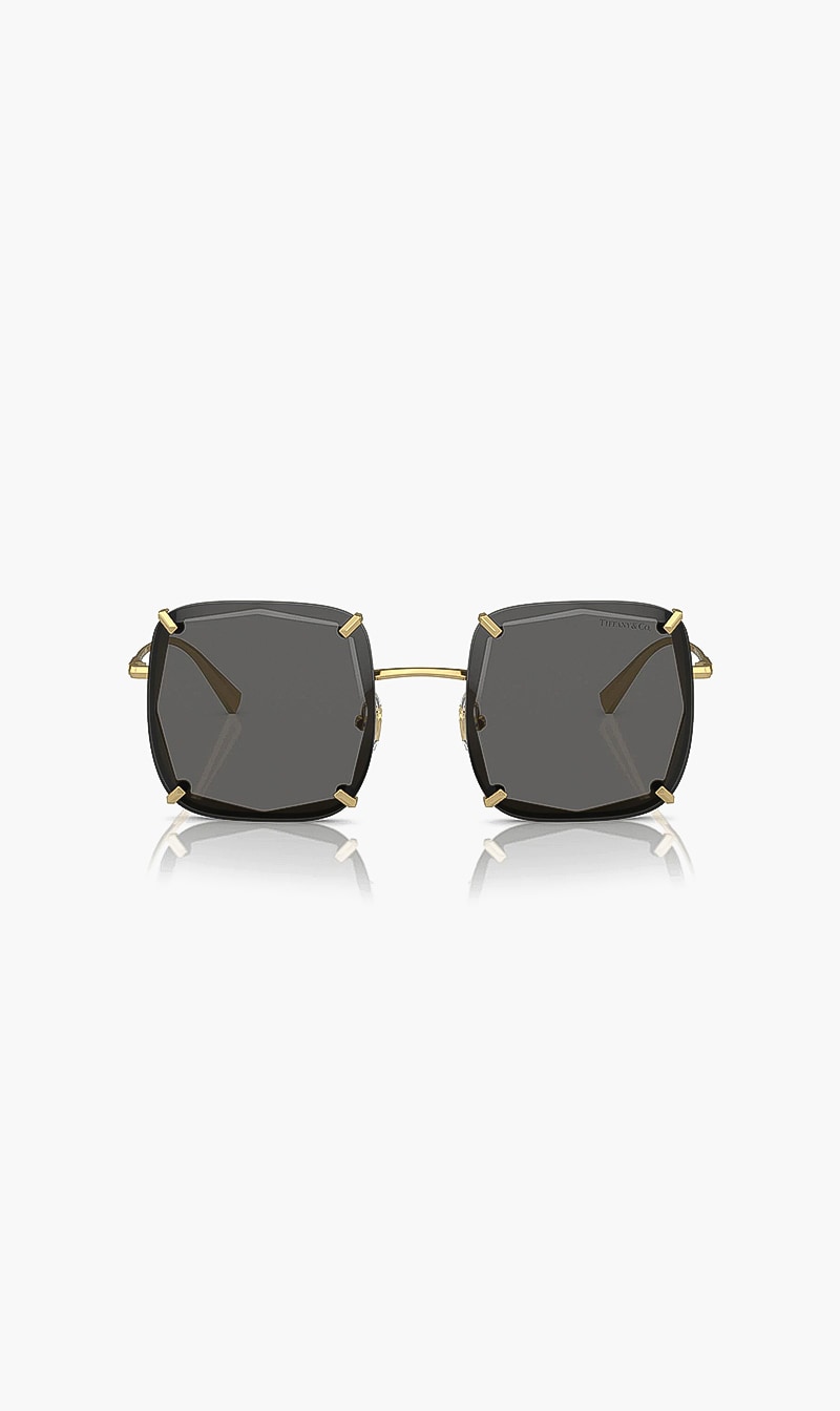 

Full Rim Sunglasses