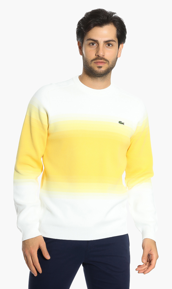 

Lacoste Degraded Cotton Crew Neck Sweater