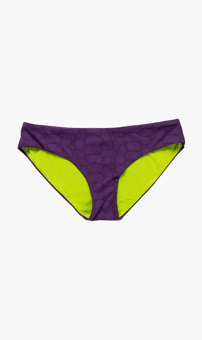 

![cdata[frisbee Turtle Shell Bikini Bottom]]
