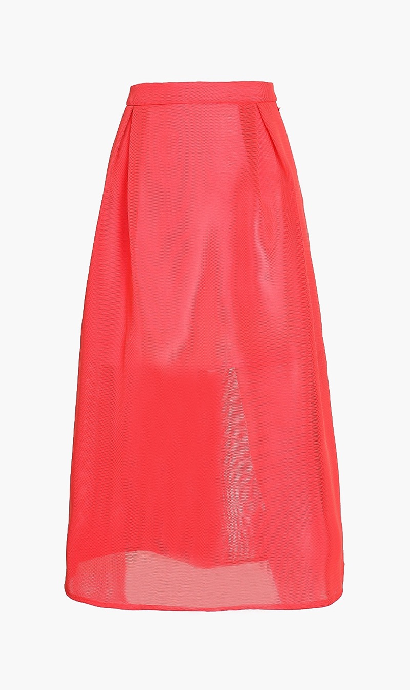 

Emporio Armani Sheer Skirt