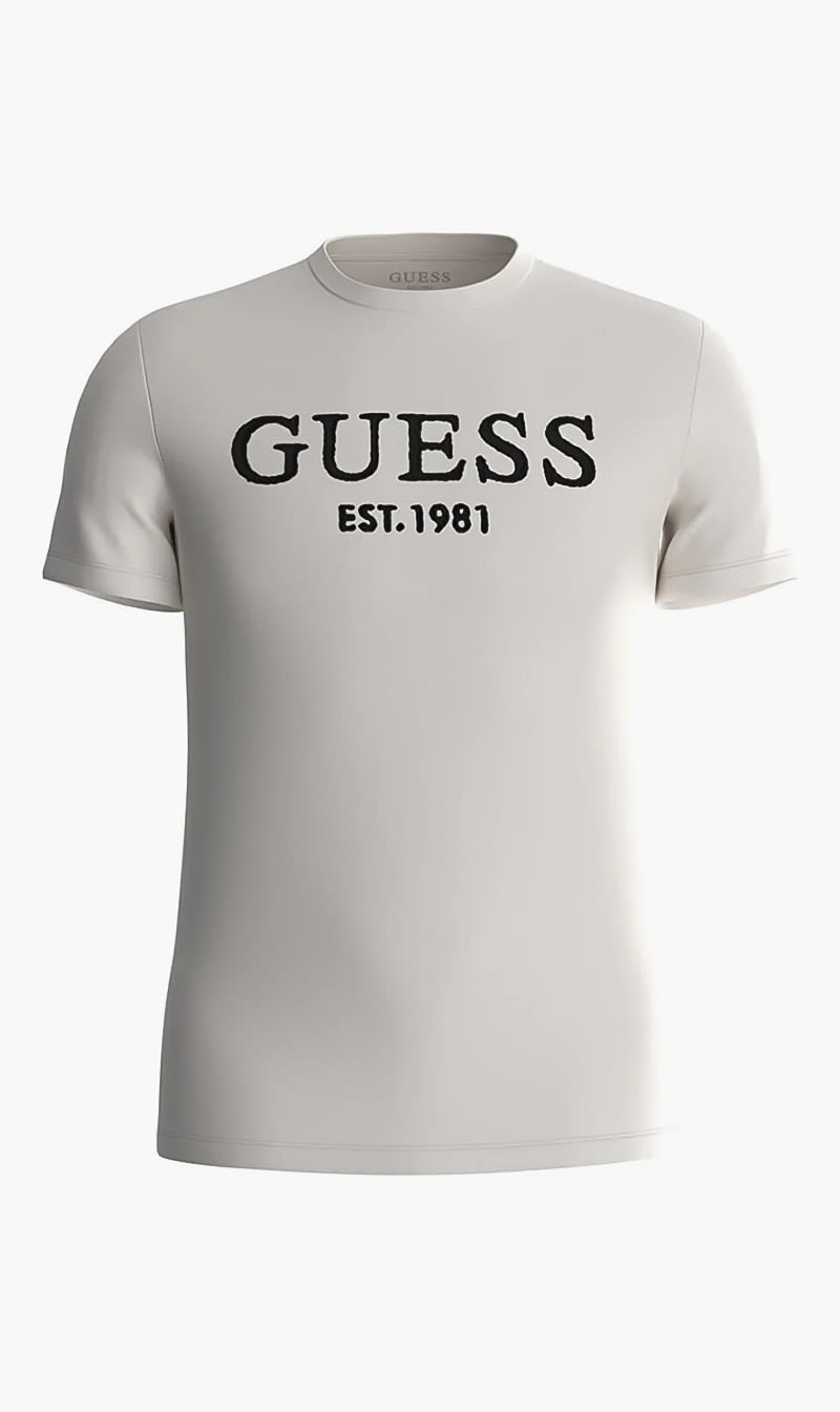 

Guess Grey Cn Ss Tee for Women | The Deal Outlet