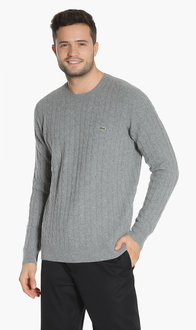 

Lacoste Crew Neck Cable Knit Effect Sweater