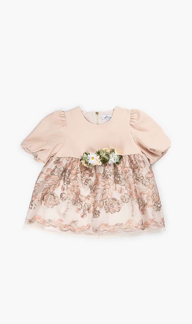 

Graci Embroidered Sequined Dress