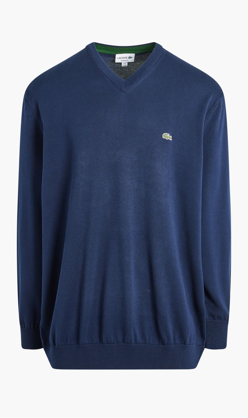 

V Neck Organic Cotton Sweater, Blue