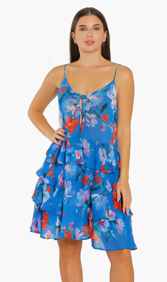 Floral Print Dress, Blue