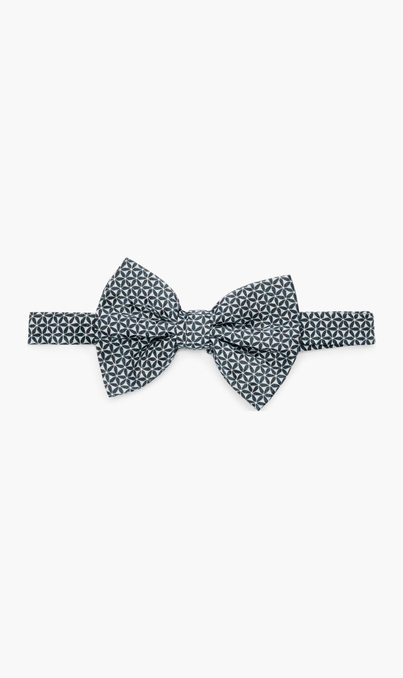 

Papillon, White