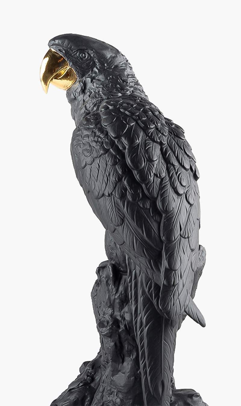 

Lladro Macaw Bird Sculpture