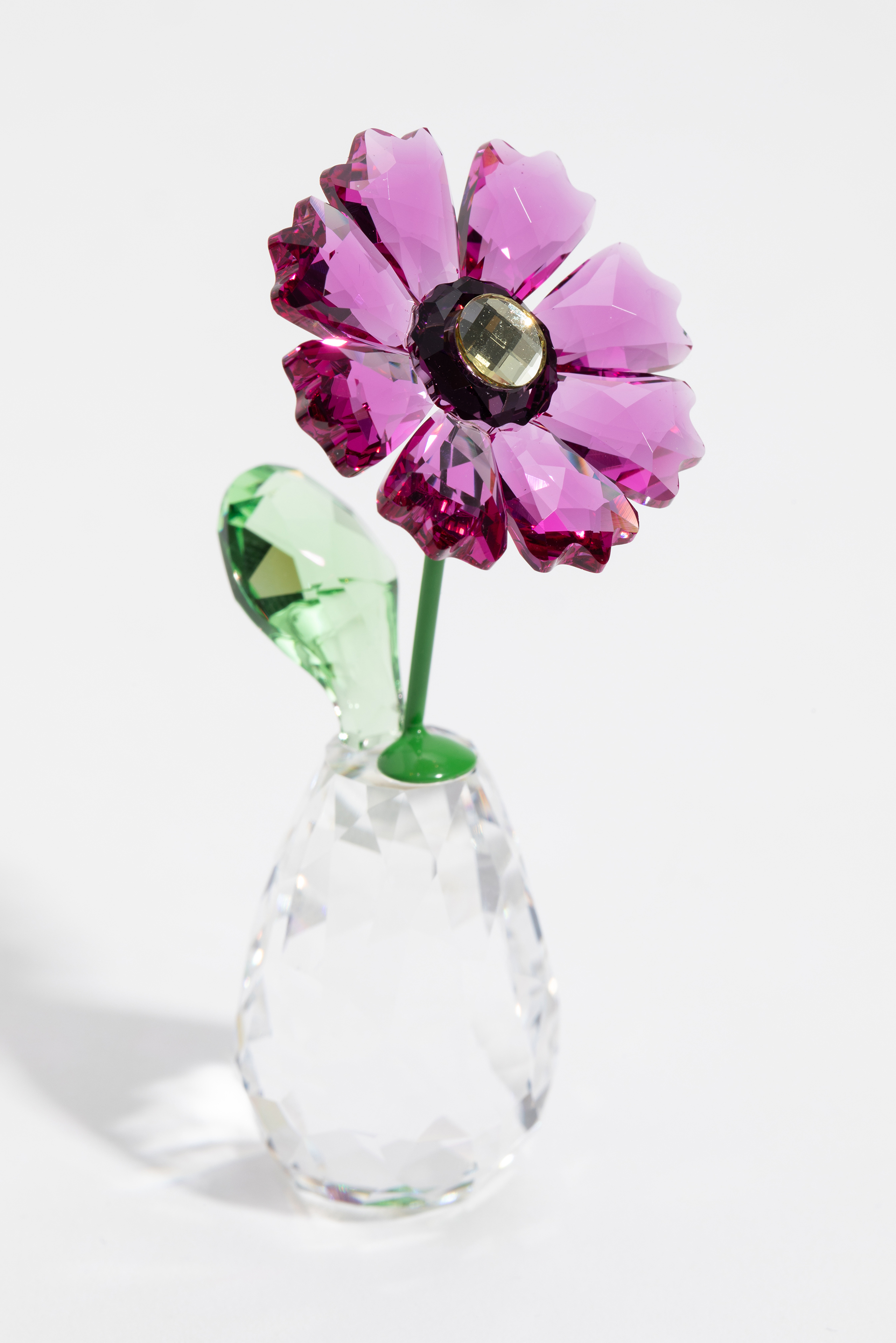 

Swarovski Flower Dreams - Gerbera