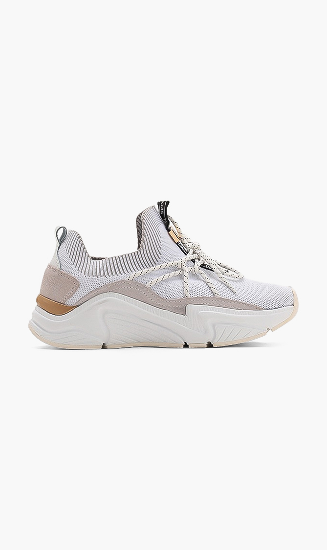 

Roberto Cavalli Harison Knitwear Sneakers