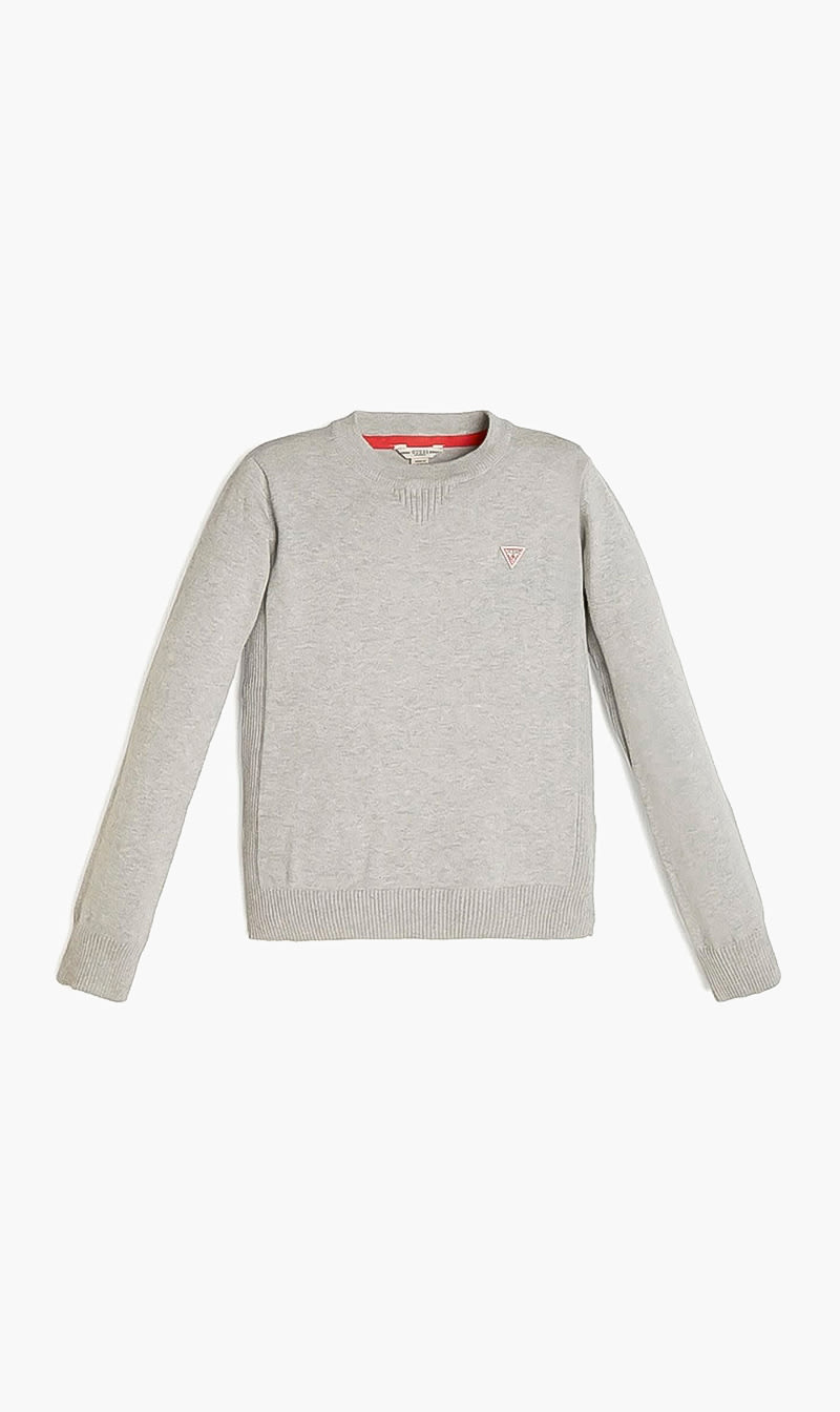 

Long Sleeved Sweater, Grey