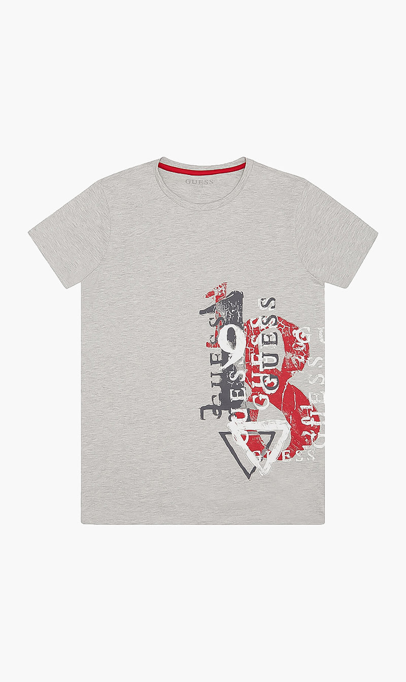 

Crew Neck Logo Tshirt, Grey