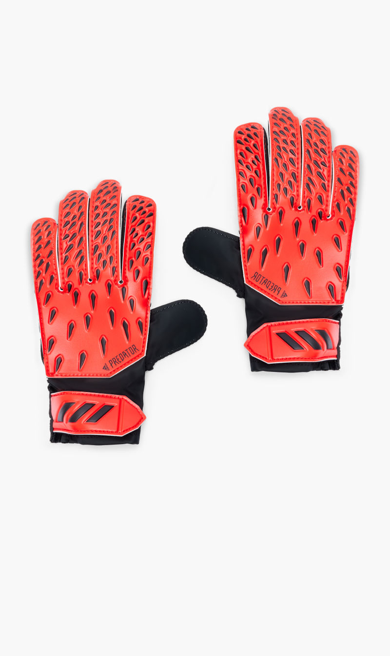 

Pred Gl Trn J, Red