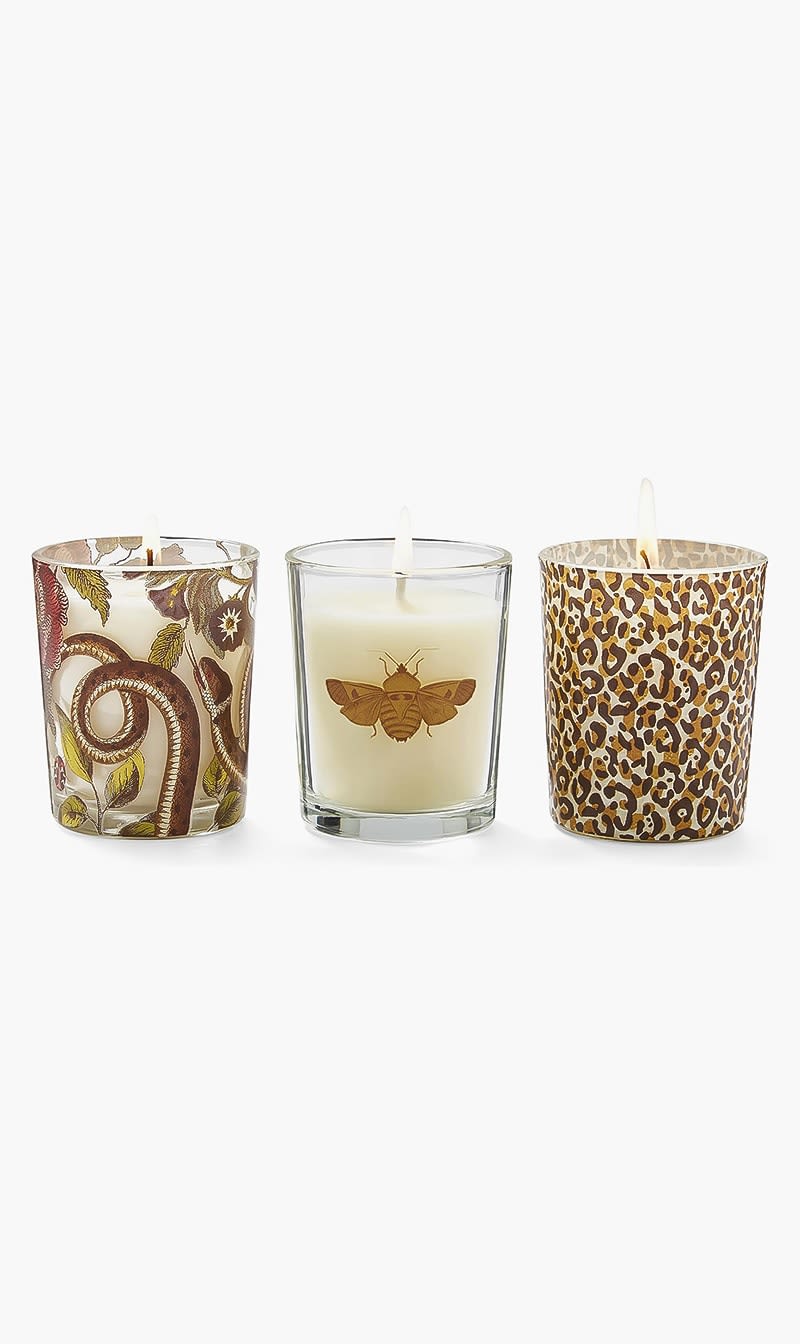 

Spod Others Creatures Of Curiousity Votives Set Of 3 | The Deal Outlet