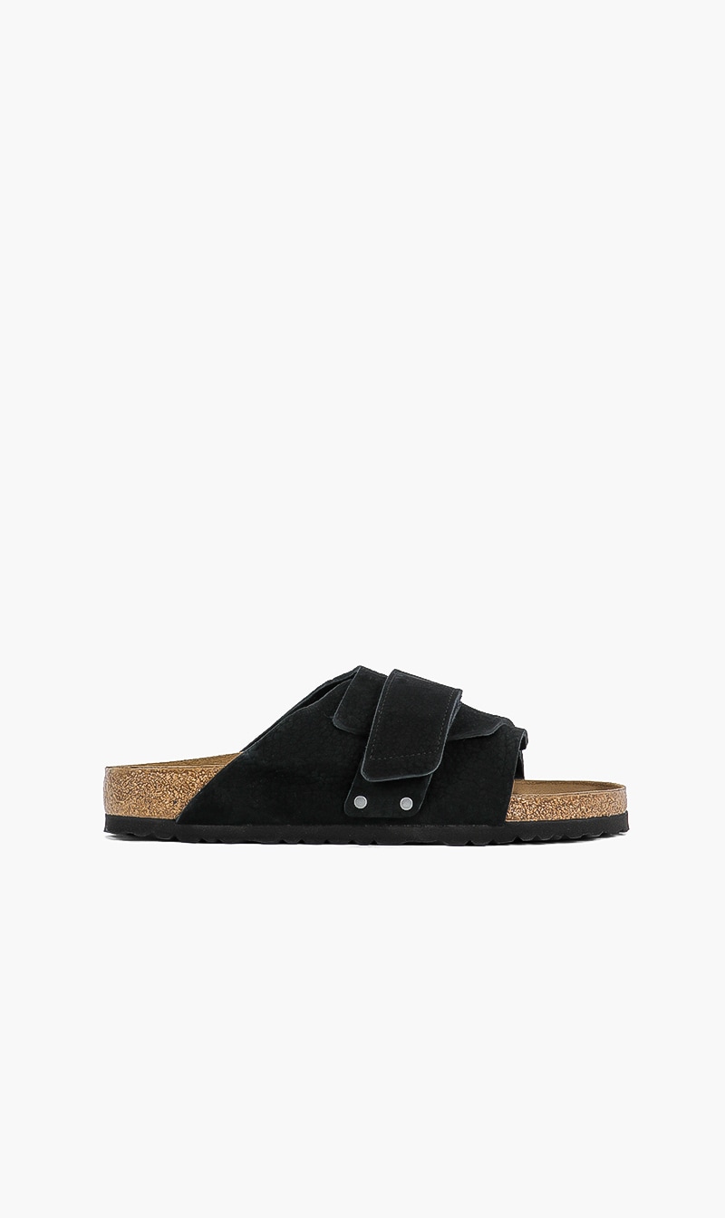 

Kyoto Slides