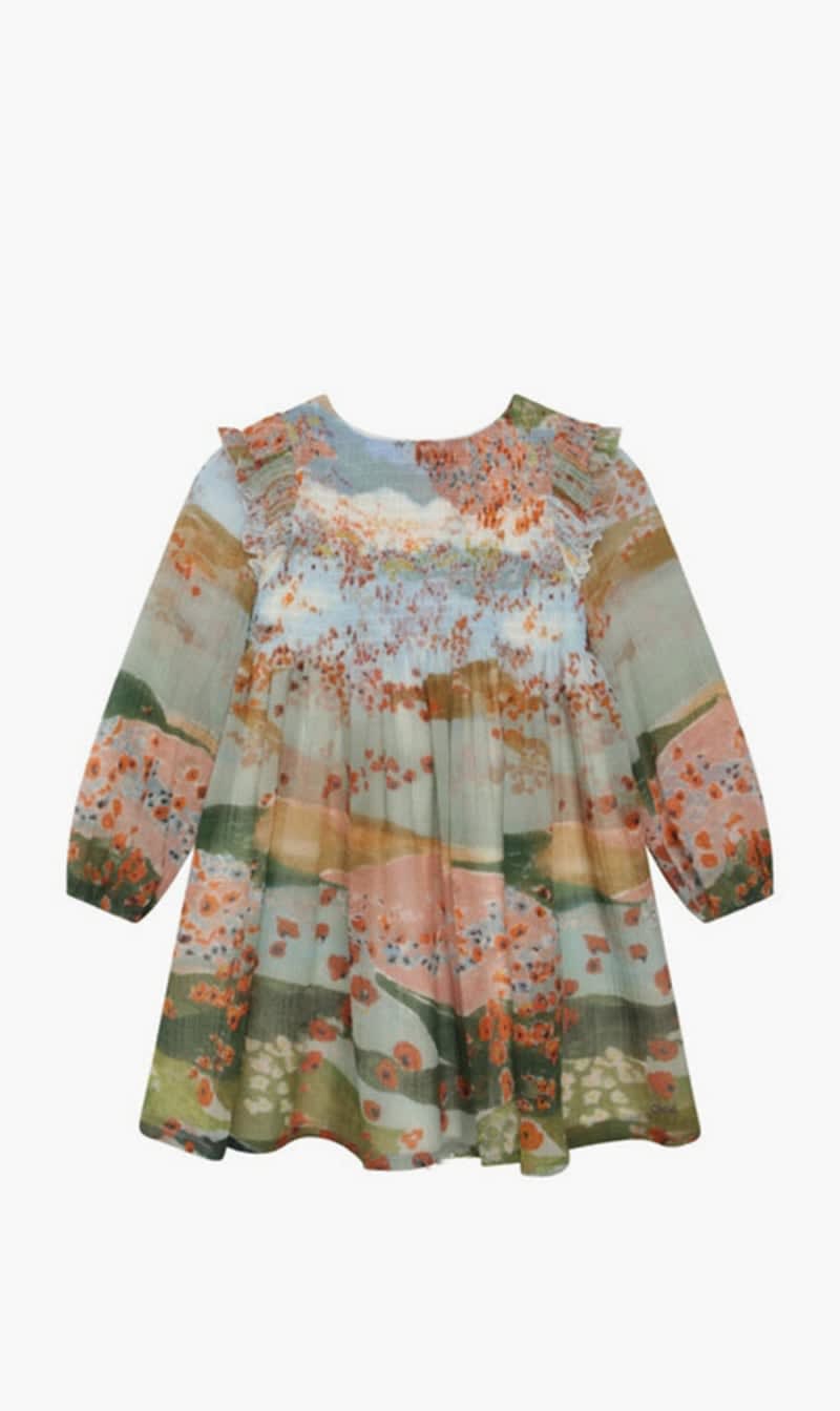 

Chloe Multi-color Ceremony Print Dress for Girls | The Deal Outlet