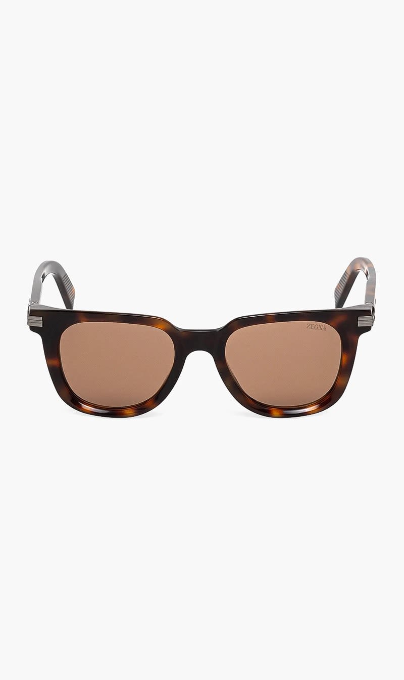 Ermenegildo Zegna Brown Full Rim Sunglasses for Men