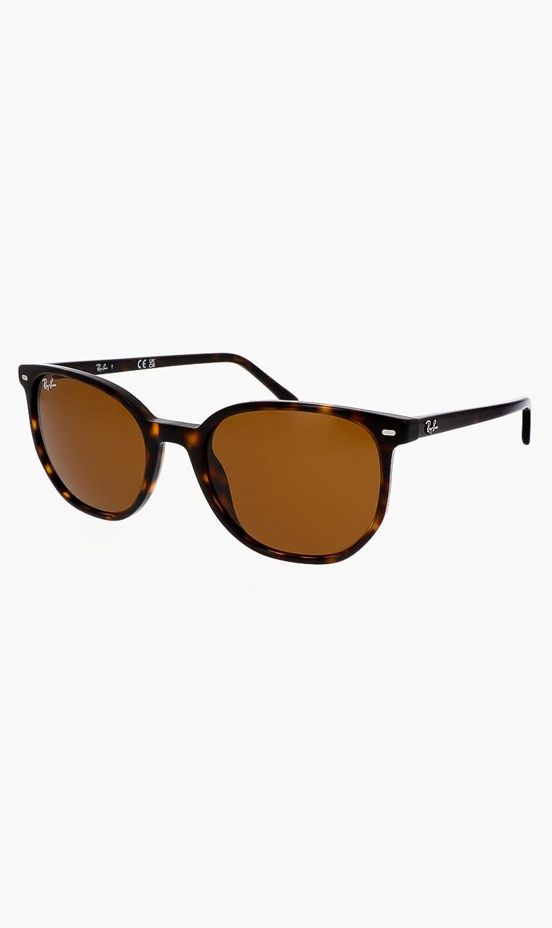 

Ray-ban Brown Elliot Sunglasses for Men | The Deal Outlet