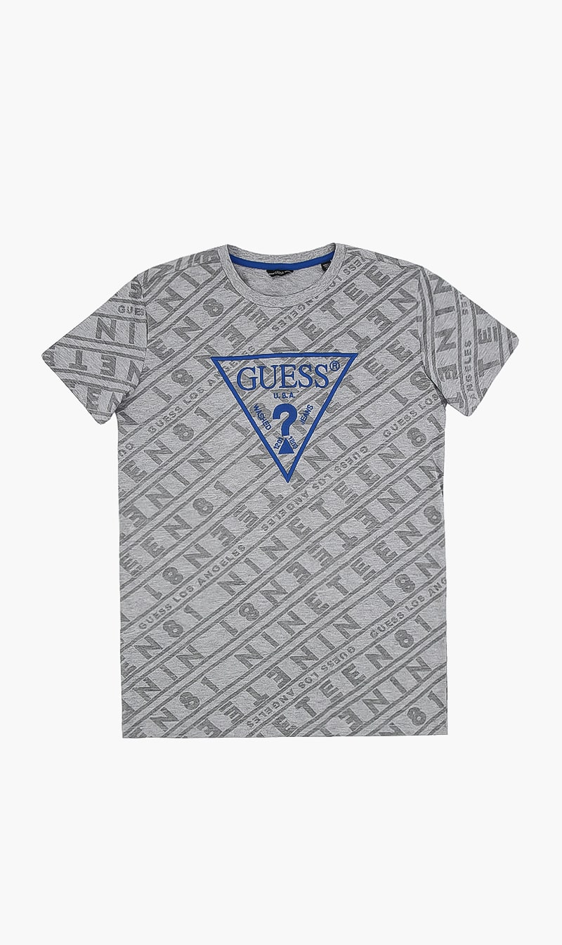 

Classic Logo Tshirt, Grey
