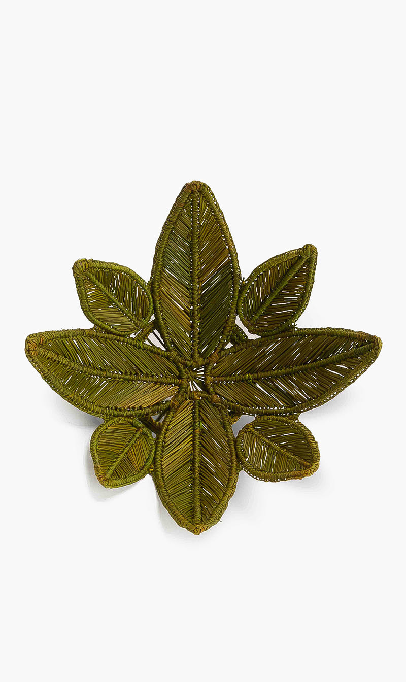 

Artesanias Del Atlantico Green Stromanthe Straw Green Centerpiece - Small | The Deal Outlet