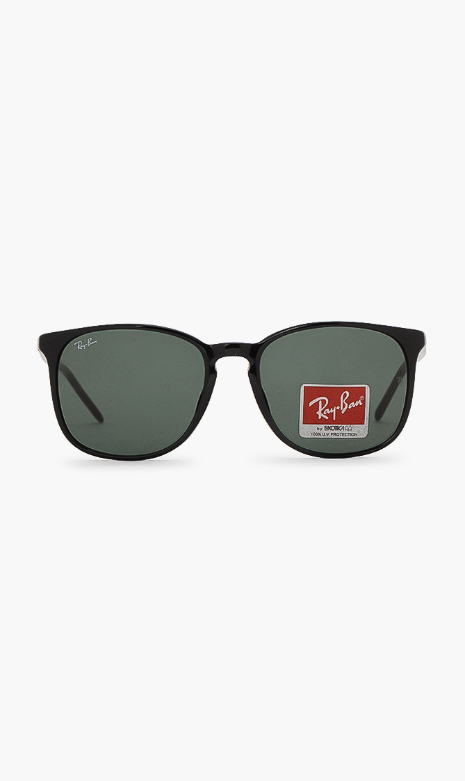 

Ray-ban Classic Sunglasses