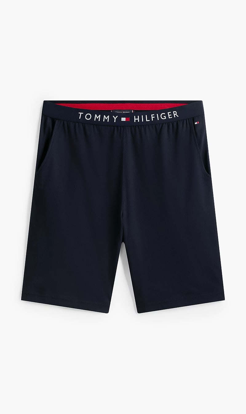 

Tommy Hilfiger Blue Jersey Short for Men | The Deal Outlet
